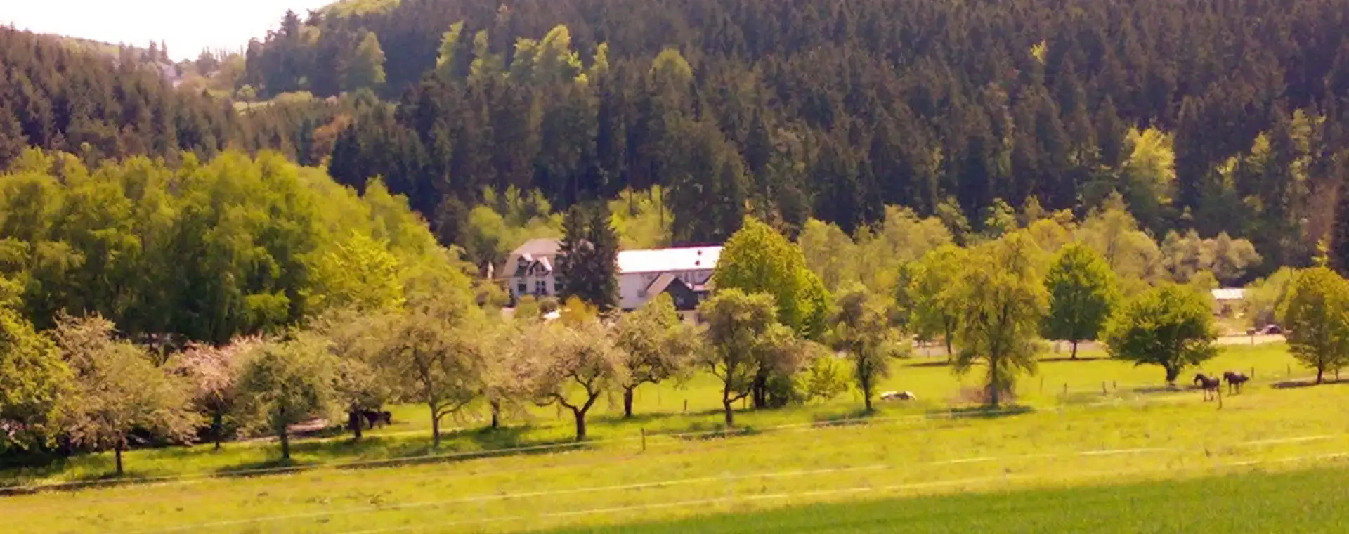 Landschaft rund um die Studentenmühle im Eisenbachtal