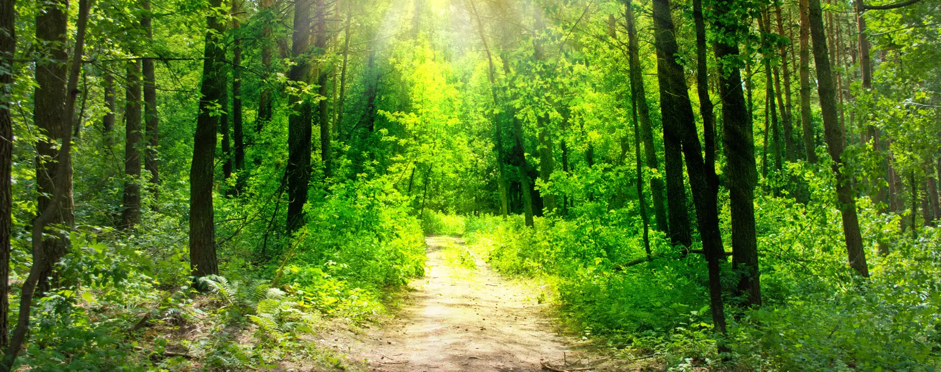 Wandern im Eisenbachtal bei der Studentenmühle